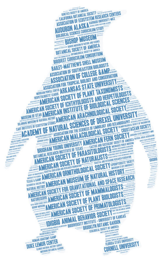 A word cloud in the shape of a penguin and containing AIBS member society names