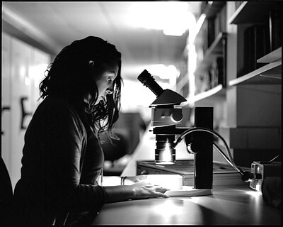Allie Stone, the person in the image, and I are imaging specialists for collections at The Field Museum. One night we decided to stay very late to keep working on imaging projects we were working on. She was working on tropical butterflies and was currently on the family Nymphalidae. I realized that while science is full of incredible 'AHA' moments as well as amazing collecting experiences, so much of what is known to science is in the work of people like Allie that stay in a collection alone until 11pm at night in order to provide images and information to researchers and the public online. So often advancement in science happens because there is no appropriate or inappropriate time for passionate individuals to work. Credit&#58; Daniel Le