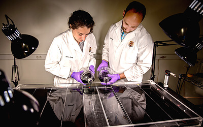 Scientists Michael Baym and Tami Lieberman from Roy Kishony's lab at the Harvard Medical School and Technion-Israel Institute of Technology set the scene for a large-scale experiment of bacterial evolution towards antibiotic resistance. Media containing black ink is poured into a 2-by-4 foot petri dish. A gradient of antibiotic is created so that the outermost sides of the dish are antibiotic-free but each subsequent section towards the center contains 10-times the antibiotic. Escherichia coli bacteria is inoculated at the two ends of the dish, and a camera records bacterial movement, death, and survival over 2 weeks. According to Kishony, this Microbial Evolution and Growth Arena (MEGA) plate powerfully demonstrates the ease by which bacteria can evolve antibiotic resistance, and also visualizes complex concepts in evolution such as mutation selection, lineages, parallel evolution, and clonal interference. Credit&#58; Alina Chan