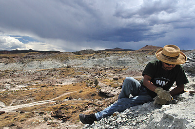 Paleontologist Takehito 'Ike' Ikejiri looks for vertebrate fossils as a late summer thunderstorm looms in the distance. The colorful exposures are mainly from the Late Jurassic Morrison Formation of western Colorado, approximately 150 million years old. While the Jurassic was dominated by dinosaurs, it was also an important well-spring for many modern taxa, including mammals. Ike was part of a field expedition that spent all summer dodging the big, charismatic dinosaur fossils in favor of focusing on the small vertebrates that evolved to define our landscape today. Credit&#58; Juri Miyamae