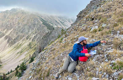 Joseph Kleinkopf, a PhD student at the University of New Mexico, collects alpine plants from the steep north face of Sheepshead Peak (12,696 ft elevation) situated in the heart of the Pecos Wilderness of New Mexico. Credit&#58; Joseph Kleinkopf