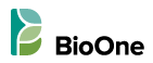 BioOne Logo