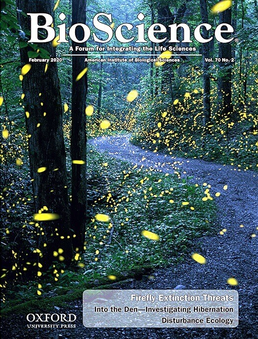 In the February 2020 BioScience cover, Photinus carolinus fireflies light up a trail in the Great Smoky Mountains. Credit: Radim Schreiber