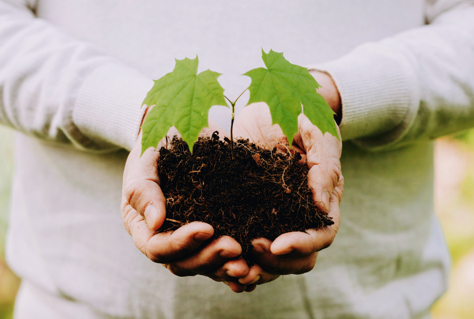 Learn how you can help biology, biologists, and society thrive. Credit: Madara