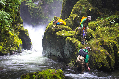 The Sitka Sound Science Center is partaking in a research project to investigate the interactions of wild and hatchery chum salmon in Southeast Alaska. During the summer months, field crews are sent to 32 streams across the region to collect samples. Here is a shot of the crew I worked with, as we reached the upper portion of our sampling area on Sawmill Creek, near Juneau Alaska. Credit&#58; Ben Adams