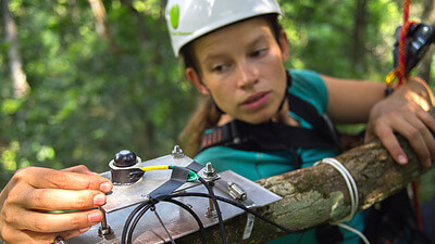 PhD student Marielle Smith installs a mid-canopy light sensor on a tree branch in an Amazon forest. A network of these sensors monitors vertical profiles of light through the canopy in order to illuminate drivers of ecosystem processes. Credit&#58; Tyeen Taylor