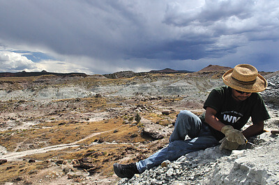 Paleontologist Takehito 'Ike' Ikejiri looks for vertebrate fossils as a late summer thunderstorm looms in the distance. The colorful exposures are mainly from the Late Jurassic Morrison Formation of western Colorado, approximately 150 million years old. While the Jurassic was dominated by dinosaurs, it was also an important well-spring for many modern taxa, including mammals. Ike was part of a field expedition that spent all summer dodging the big, charismatic dinosaur fossils in favor of focusing on the small vertebrates that evolved to define our landscape today. Credit: Juri Miyamae