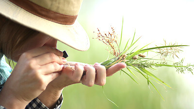 Carla DeMasters, MS, identifies plants as part of a restoration project with Denver Botanic Gardens. The project focuses on restoring 5.5 acres of degraded riparian habitat outside of Denver, Colorado. Credit&#58; Gavin Culbertson