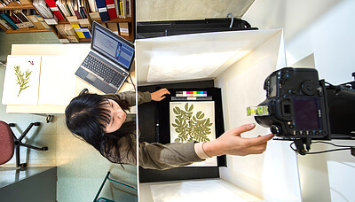 Katherine Fu, Ph.D. student with Denver Botanic Gardens, images specimens from the Kathryn Kalmbach Herbarium of Vascular Plants. Specimen images and data are shared through biodiversity portals expanding access to these valuable collections. Credit&#58; Dressel Martin