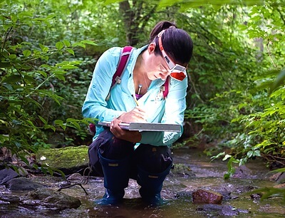 Samantha Jordt measures the health of streams by counting the amount and types of insect egg masses deposited on emergent rocks. Her M.Sc. at the Department of Applied Ecology at NC State is assessing the insect biodiversity of restored vs. natural streams across North Carolina. Credit&#58; Michelle Jewell