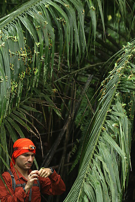 Costa Rican-American PhD student, Brandon Guell, observes, photographs, and collects behavioral data during an explosive breeding aggregation of gliding treefrogs, Agalychnis spurrelli, at a remote pond on the Osa Peninsula in Costa Rica. During explosive breeding aggregations of this species tens of thousands of adults come to breed at large ponds and leave behind hundreds of thousands of eggs of which most die from desiccation, predation, and fungal infection. Brandon studies the behavioral reproductive ecology of adult frogs, the survival and development of their eggs, and adaptive phenotypic plasticity in their developing embryos, specifically environmentally cued hatching in response to environmental stimuli. Credit: Brandon Guell