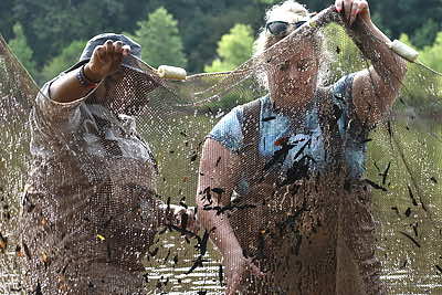 Georgia Gwinnett College Environmental Science Majors Divida Milliner and Kelly Simpson stand waste-deep in a local pond to learn how to seine net and mark-and-recapture sunfish. Credit&#58; Christopher Brown