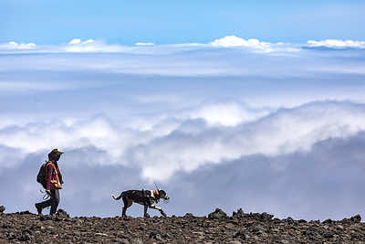 Bird biologist and dog handler Michelle Reynolds surveys a high elevation site on a volcanic mountain on Hawaii island for rare seabirds with her conservation detection dog Panda. Credit&#58; Tor Johnson